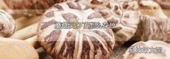 蘑菇买多了怎么存放