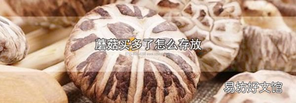 蘑菇买多了怎么存放
