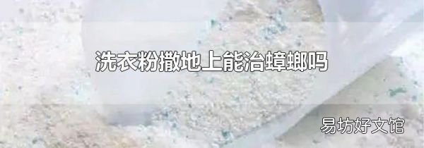洗衣粉撒地上能治蟑螂嗎