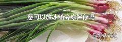 葱可以放冰箱冷冻保存吗