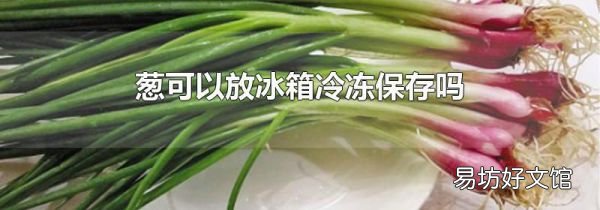 葱可以放冰箱冷冻保存吗