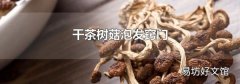 干茶树菇泡发窍门