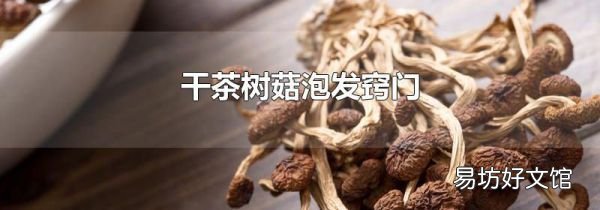 干茶树菇泡发窍门