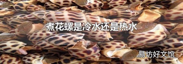 煮花螺是冷水还是热水