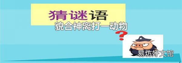 貌合神离打一动物