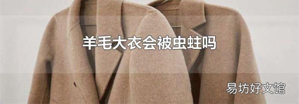 羊毛大衣会被虫蛀吗