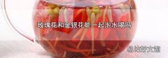 玫瑰花和金银花能一起泡水喝吗