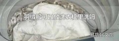 羽絨服可以放洗衣機(jī)里洗嗎