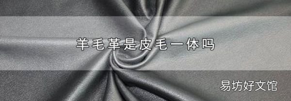 羊毛革是皮毛一体吗