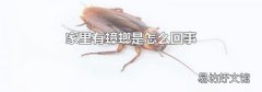家里有蟑螂是怎么回事