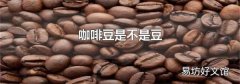 咖啡豆是不是豆