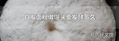 自发面粉做馒头要发酵多久