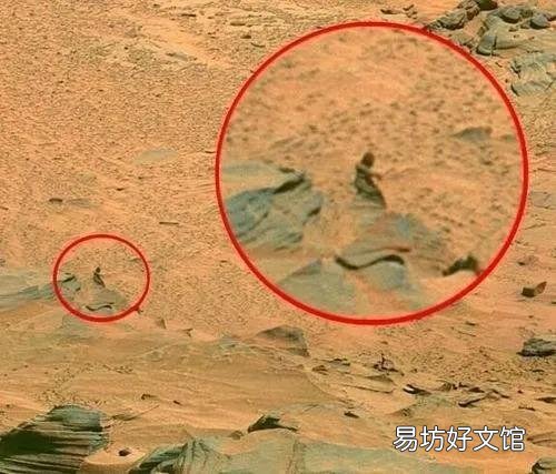 火星上有生物存在嗎 火星上發(fā)現(xiàn)滅絕的生物體照片