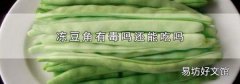 冻豆角有毒吗还能吃吗