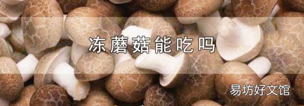 冻蘑菇能吃吗