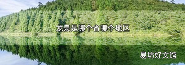 龍泉是哪個省哪個地區(qū)