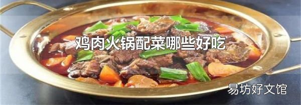 雞肉火鍋配菜哪些好吃