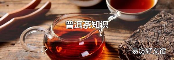普洱茶知识