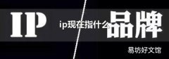 ip现在指什么
