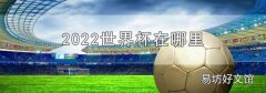 2022世界杯在哪里