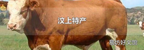汶上特產(chǎn)