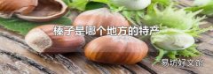 榛子是哪个地方的特产