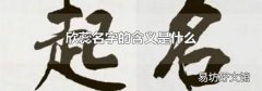 欣蕊名字的含义是什么