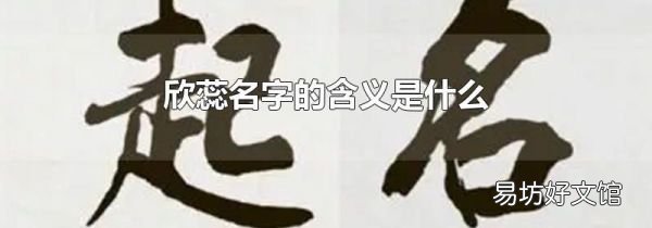 欣蕊名字的含義是什么