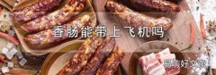 香肠能带上飞机吗