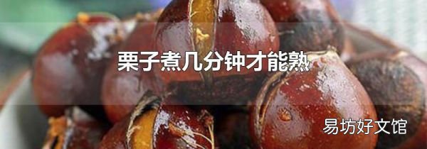 栗子煮几分钟才能熟