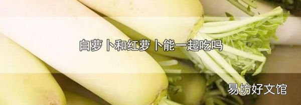白蘿卜和紅蘿卜能一起吃嗎