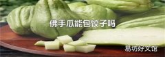 佛手瓜能包饺子吗
