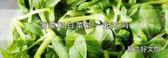 菠菜和白菜能一起吃吗