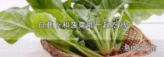 白萝卜和菠菜能一起吃吗