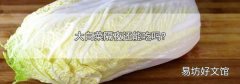 大白菜隔夜还能吃吗?
