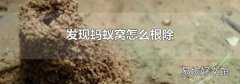 发现蚂蚁窝怎么根除