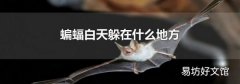 蝙蝠白天躲在什么地方