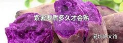 紫薯要煮多久才会熟