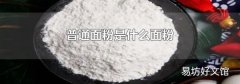 普通面粉是什么面粉