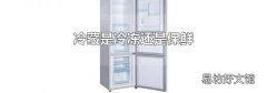 冷藏是冷冻还是保鲜