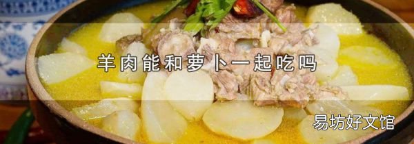 羊肉能和萝卜一起吃吗