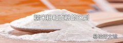 糯米粉和面粉的区别