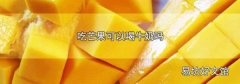 吃芒果可以喝牛奶吗