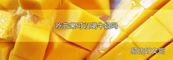 吃芒果可以喝牛奶吗