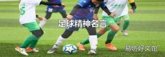 足球精神名言