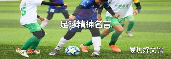 足球精神名言