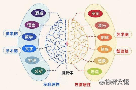 如何开发婴儿右脑发育 宝宝左脑右脑发育规律
