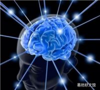 如何开发婴儿右脑发育 宝宝左脑右脑发育规律