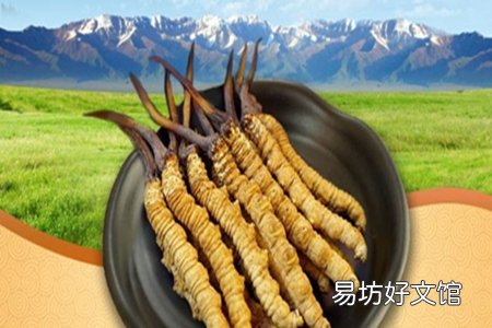 详解冬虫夏草的用量和吃法 这样食用才是最正确的