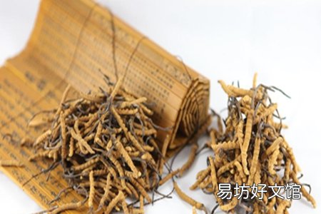 详解冬虫夏草的用量和吃法 这样食用才是最正确的